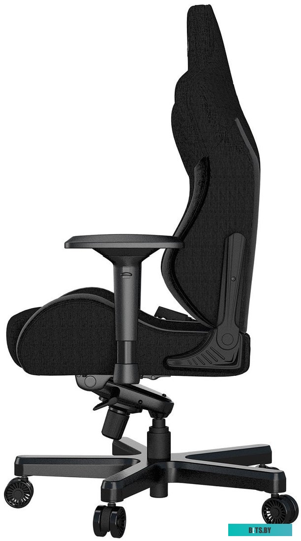 Кресло AndaSeat T-Pro 2 (черный) <AD12XLLA-01-B-F>