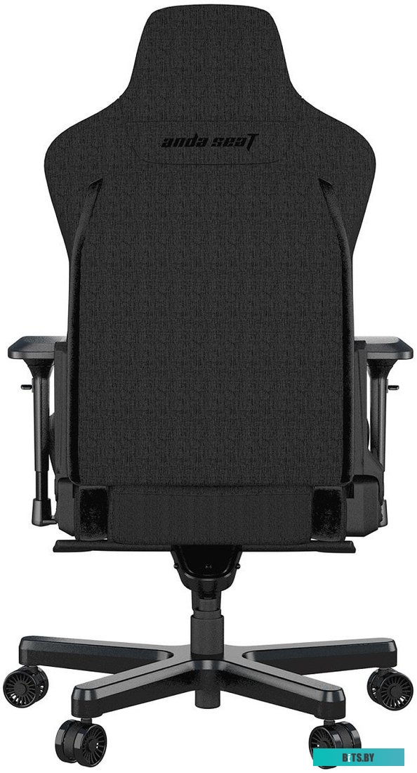 Кресло AndaSeat T-Pro 2 (черный) <AD12XLLA-01-B-F>