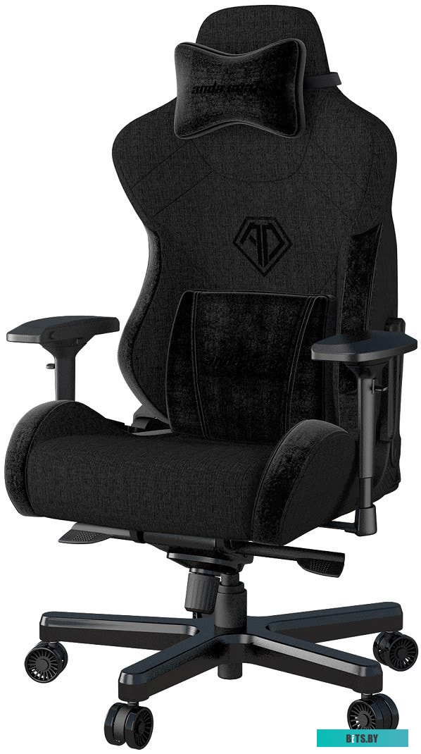 Кресло AndaSeat T-Pro 2 (черный) <AD12XLLA-01-B-F>