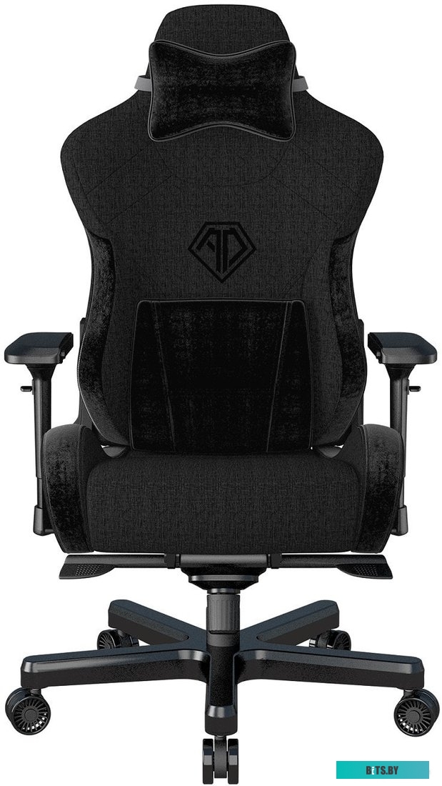 Кресло AndaSeat T-Pro 2 (черный) <AD12XLLA-01-B-F>