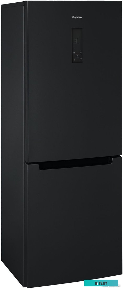 B-G920NF Холодильник B-G920NF BIRYUSA