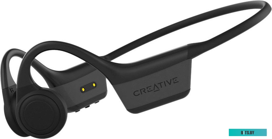 51EF1160AA000 Гарнитура Creative Aurvana Ace 2 черный