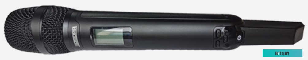 Беспроводная серия True Diversity DSPPA D5811