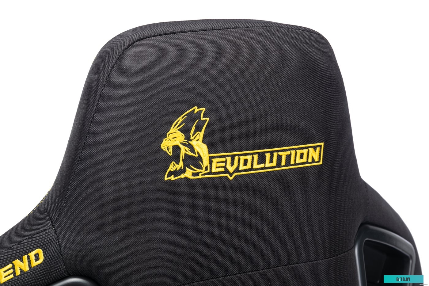 Офисное кресло Evolution Legend (черный/золотистый) <40750>