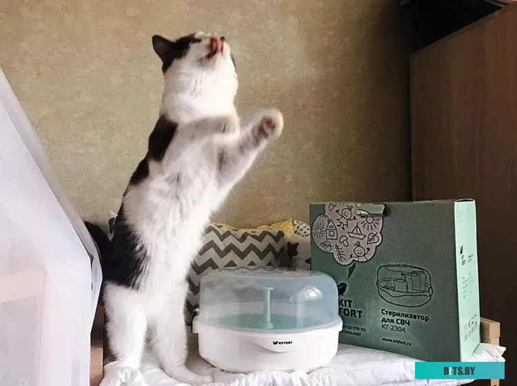 KT-2304 Стерилизатор "Kitfort" [KT-2304]