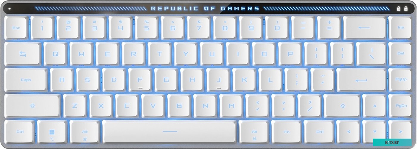 Клавиатура ASUS ROG Falchion Moonlight White (ASUS RX Low Profile Red) 90MP03EC-BKRA10