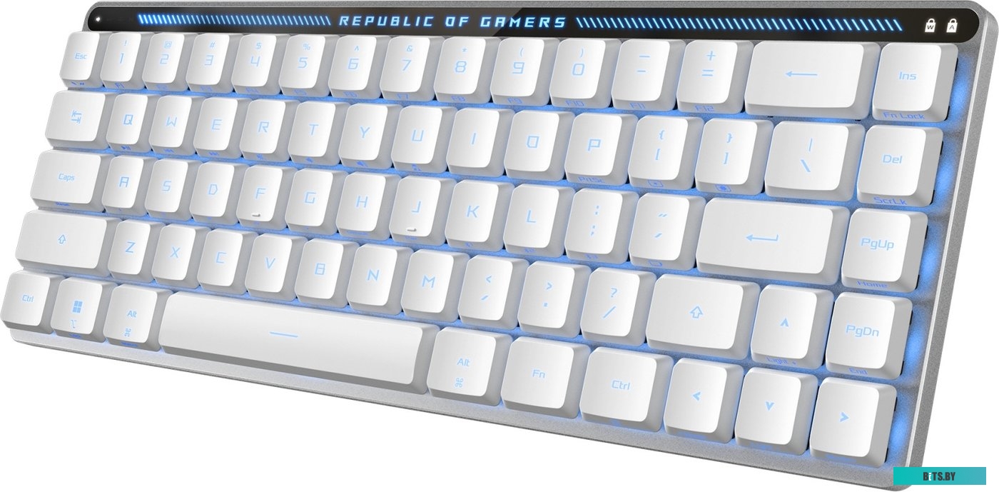 Клавиатура ASUS ROG Falchion Moonlight White (ASUS RX Low Profile Red) 90MP03EC-BKRA10