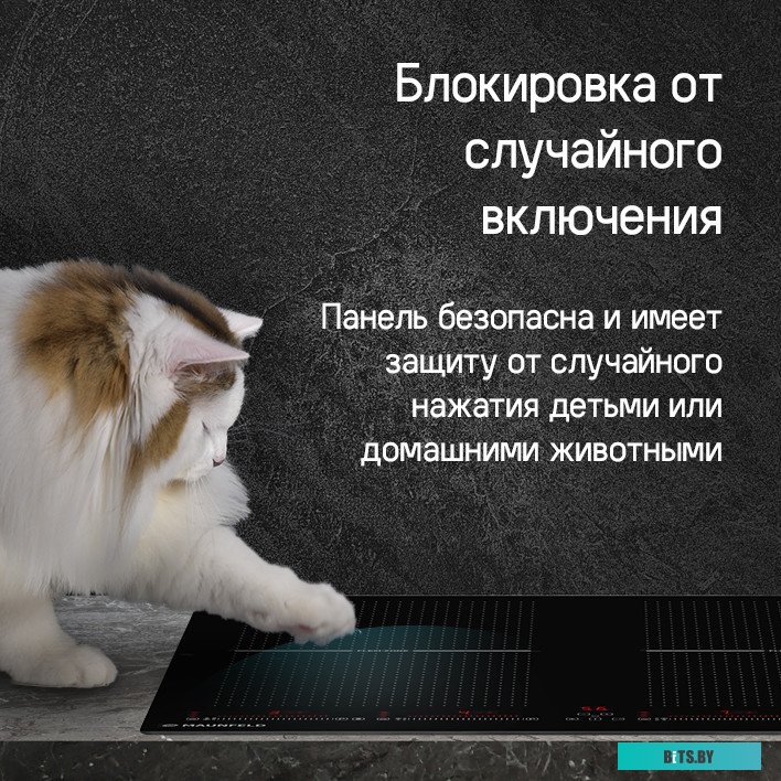 КА-00022401 Индукционная варочная панель MAUNFELD CVI594SF2BK Inverter,  независимая,  черный