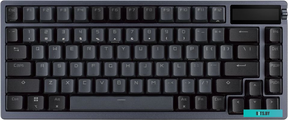 Клавиатура ASUS ROG Azoth 90MP031A-BKRA00