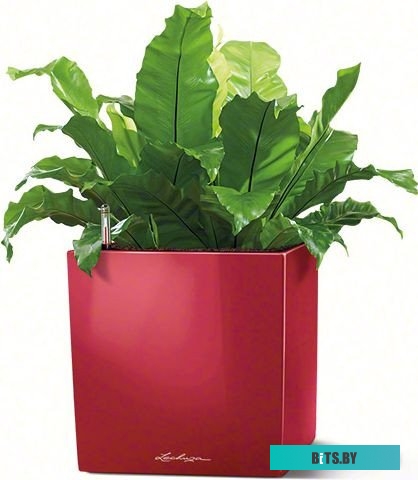 Колодка Bylectrica Р16-467 <16467>