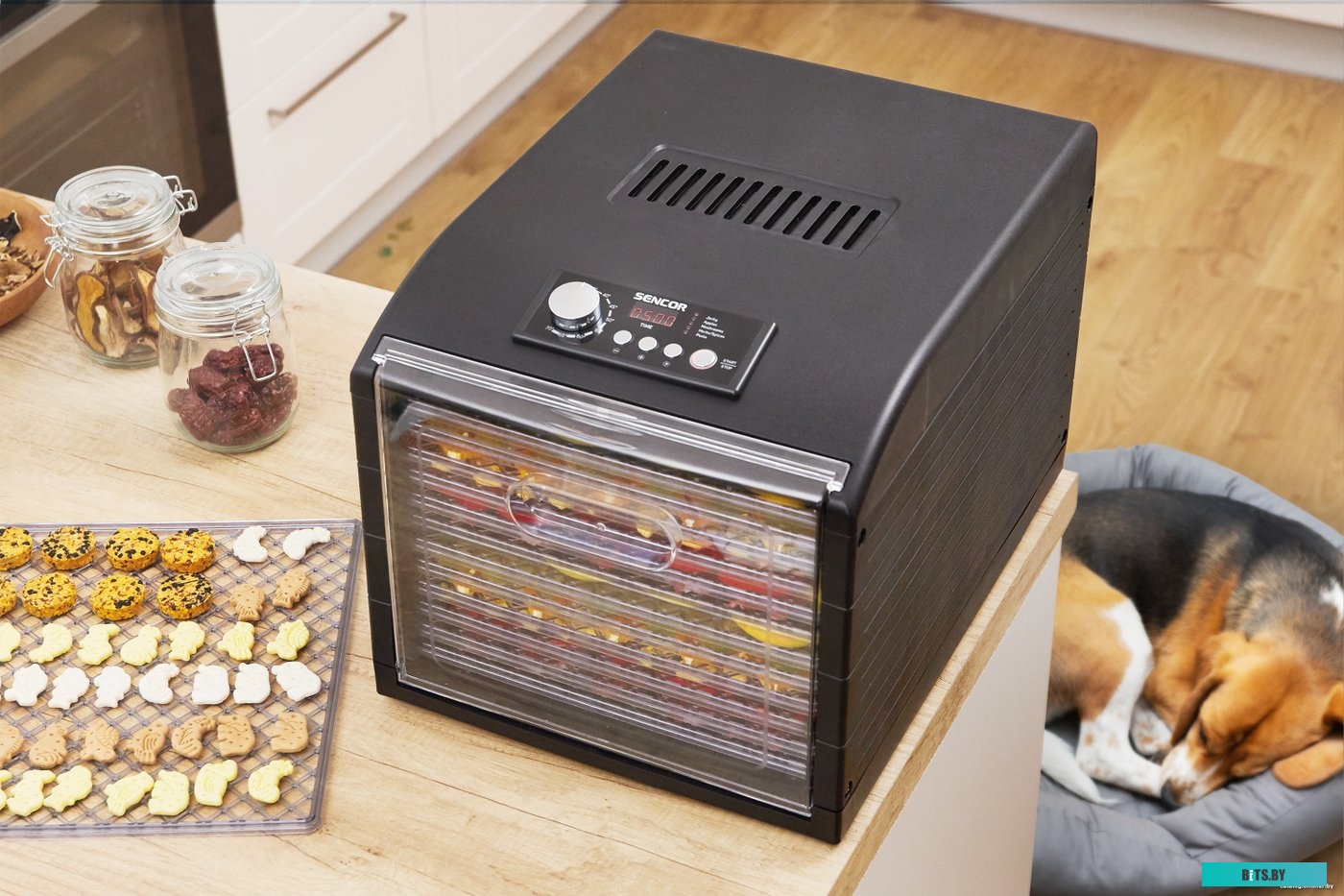 6600BK Сушилка для овощей и фруктов Sencor SFD 6600BK