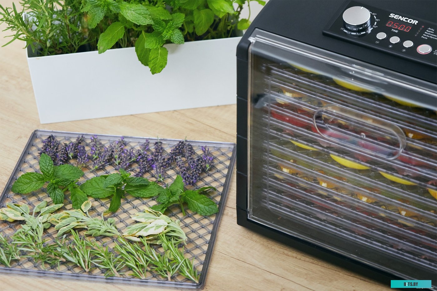 6600BK Сушилка для овощей и фруктов Sencor SFD 6600BK