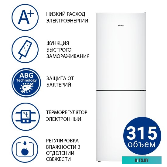 Atlant ХМ 4619-100