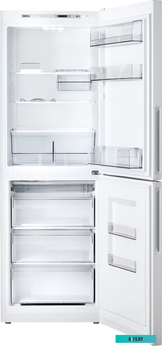 Atlant ХМ 4619-100