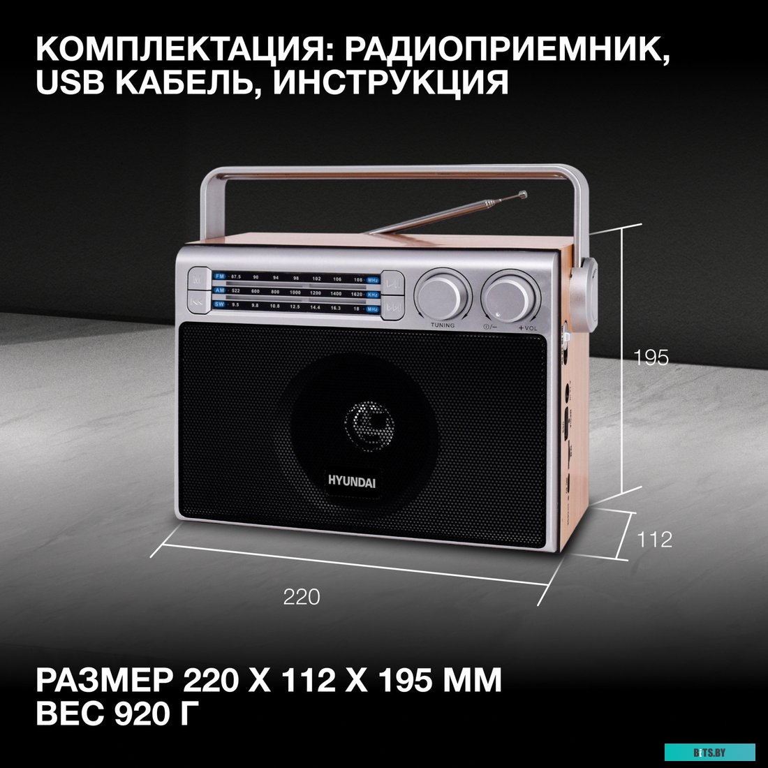 Радиоприемник Hyundai H-SRS104 H-SRS104