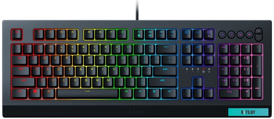 Кейпад Razer Cynosa v2 <RZ03-03400700-R3R1>