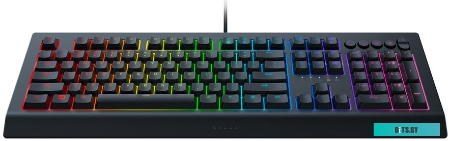 Кейпад Razer Cynosa v2 <RZ03-03400700-R3R1>