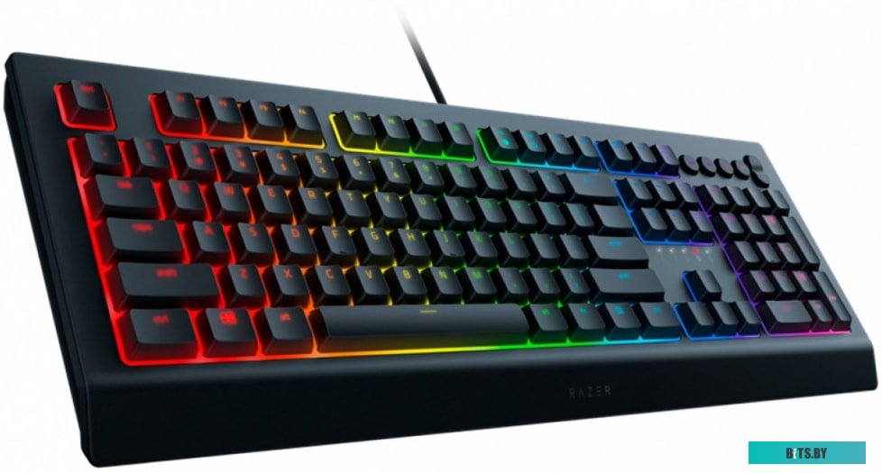 Кейпад Razer Cynosa v2 <RZ03-03400700-R3R1>