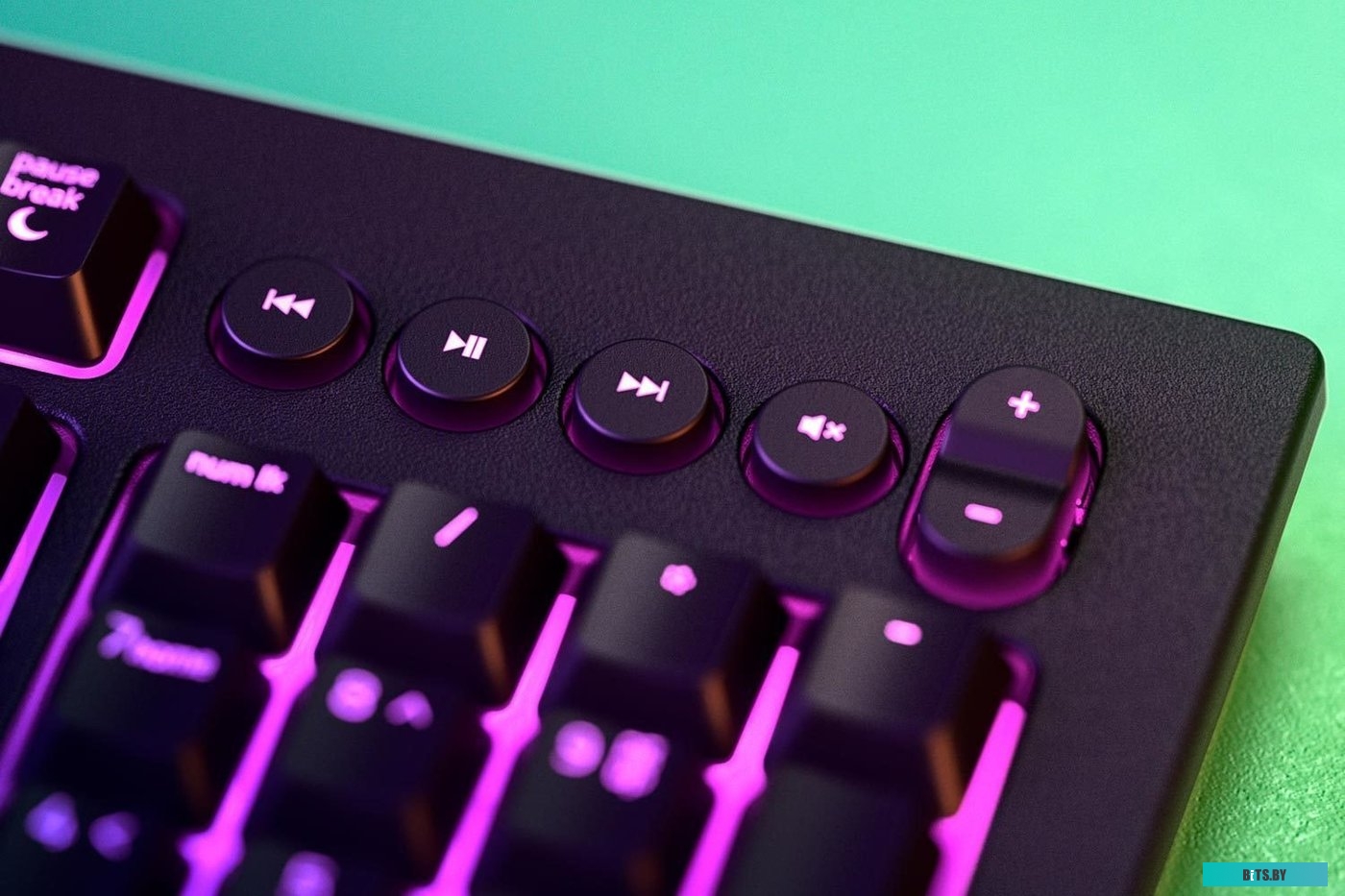Кейпад Razer Cynosa v2 <RZ03-03400700-R3R1>