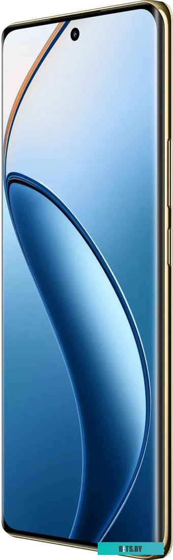 Смартфон  Realme 12 Pro+ 8GB/256GB (синий)