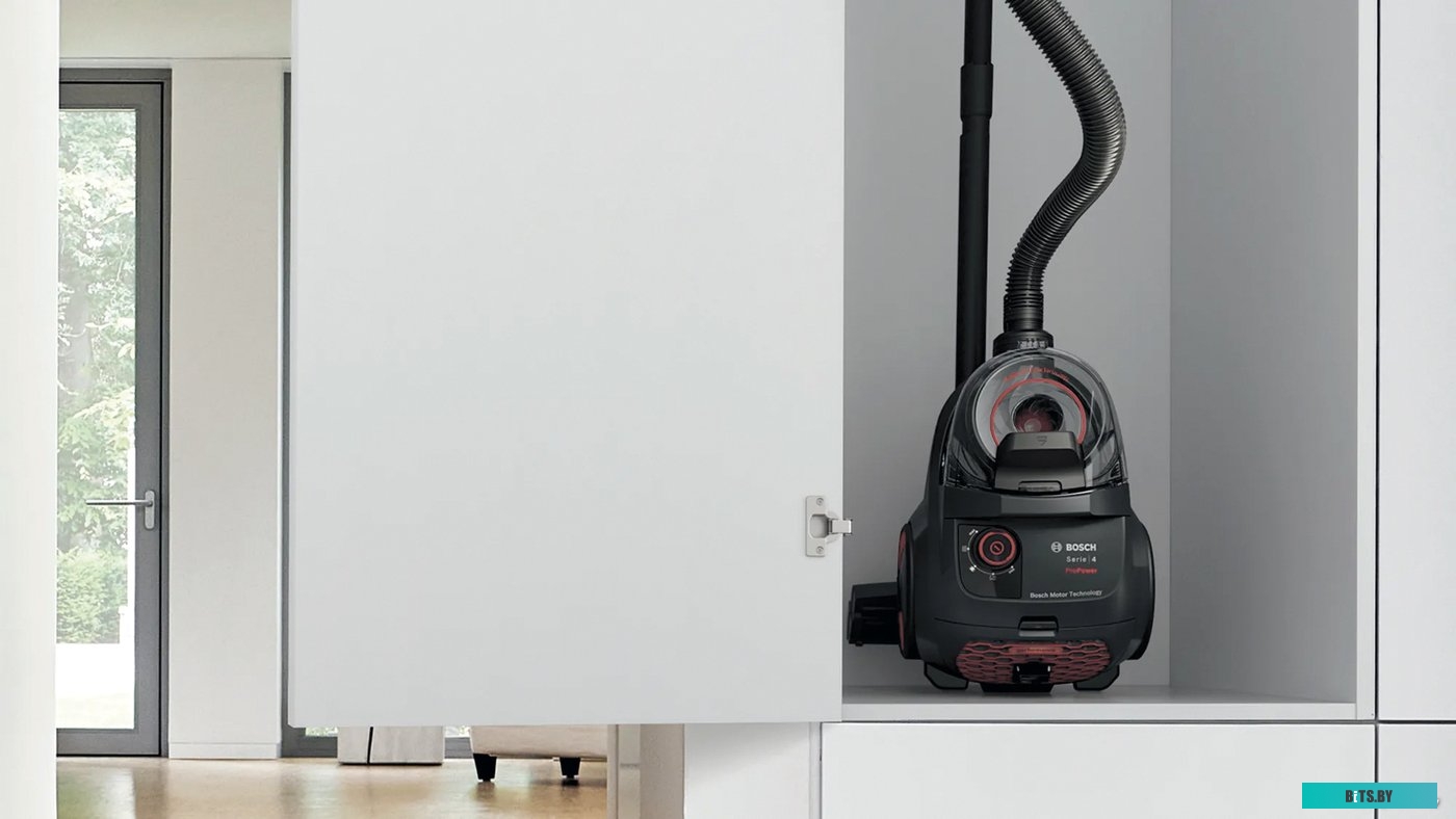 Пылесос Bosch Serie 4 BGS21POW2