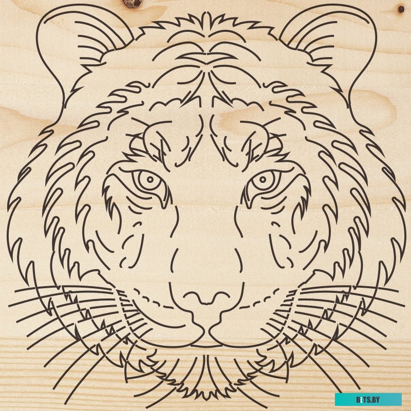 Rexant Тигр 12-0903