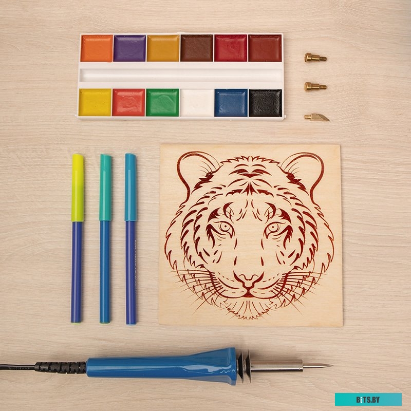 Rexant Тигр 12-0903