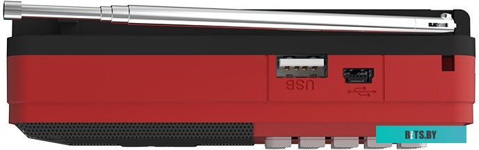 Ritmix RPR-002 (черный)