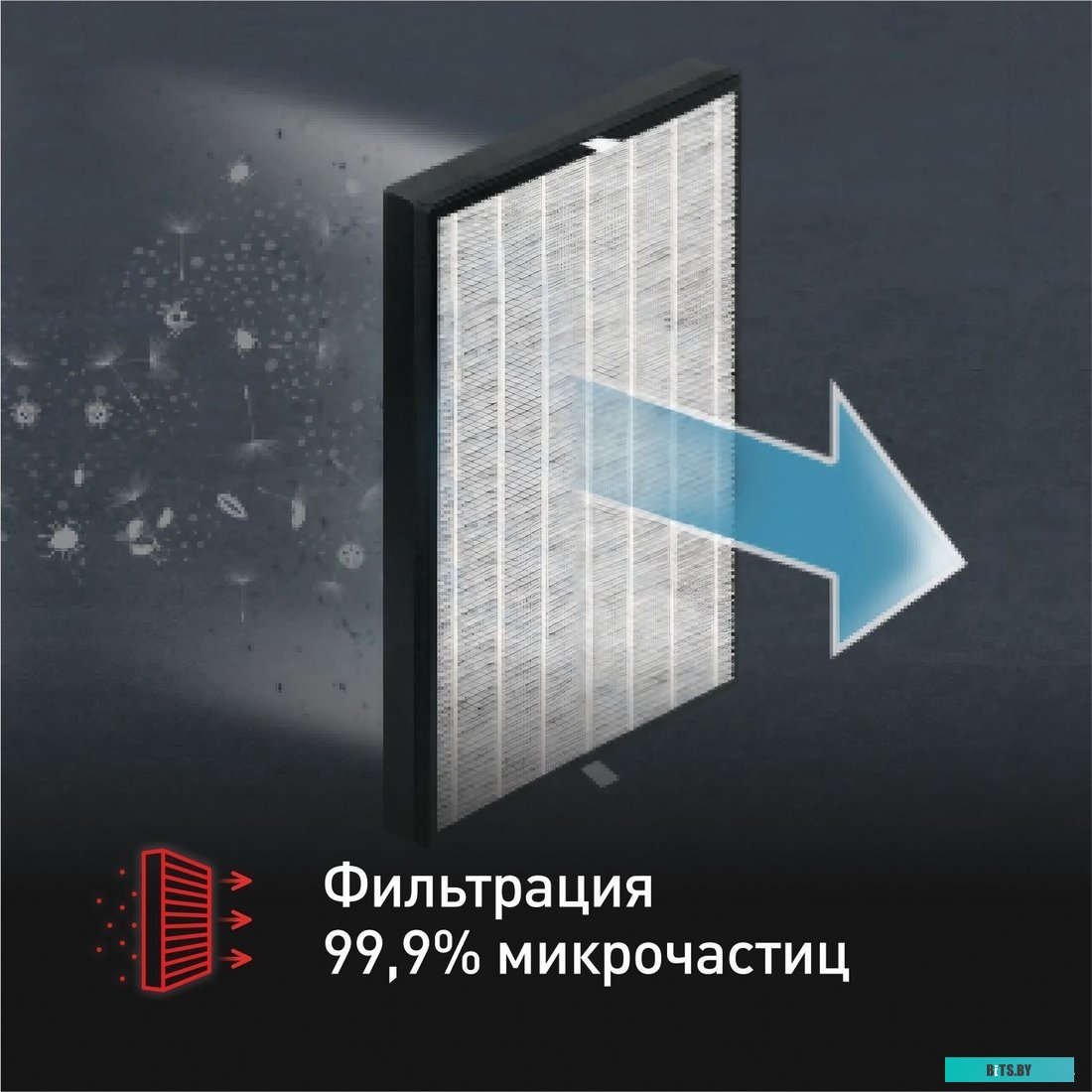 Tefal X-Force Flex 9.60 Animal TY2079WO