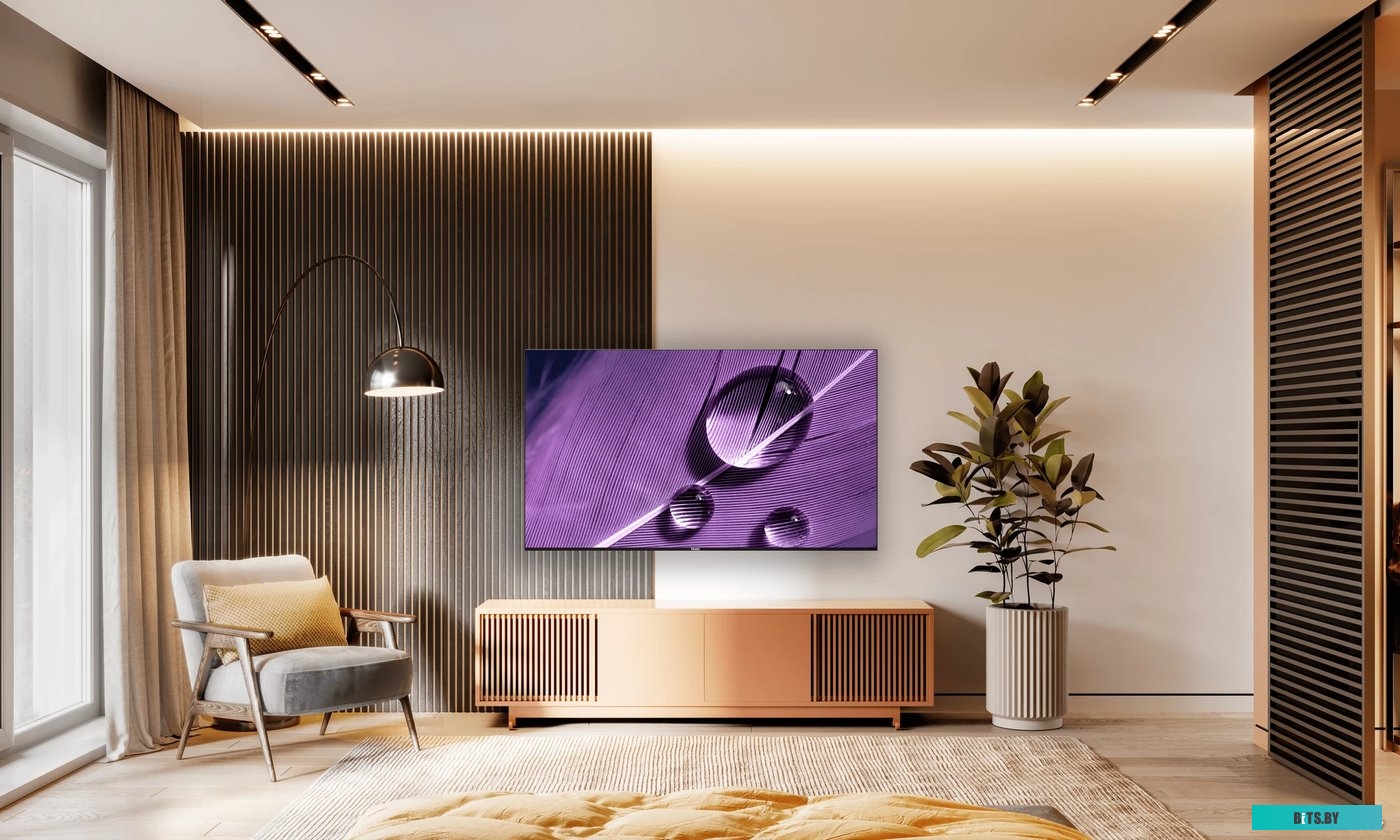 Haier 55 Smart TV S1