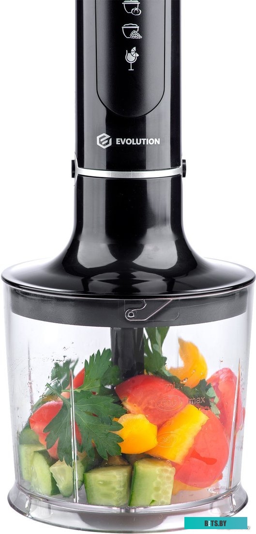 HBS-1341 Погружной блендер 3 в 1 Evolution HBS-1341 Black
