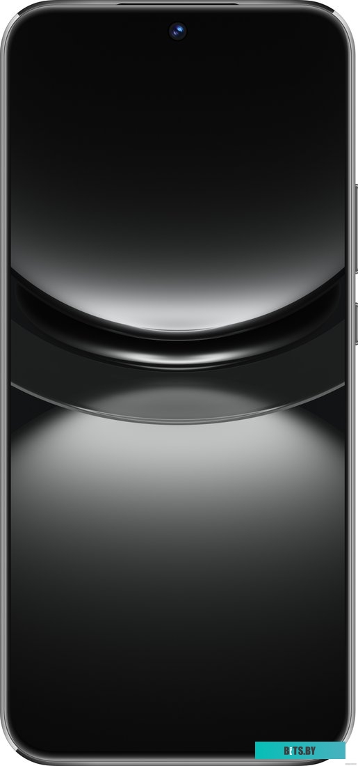 Huawei nova 12s FOA-LX9 8GB/256GB (черный)