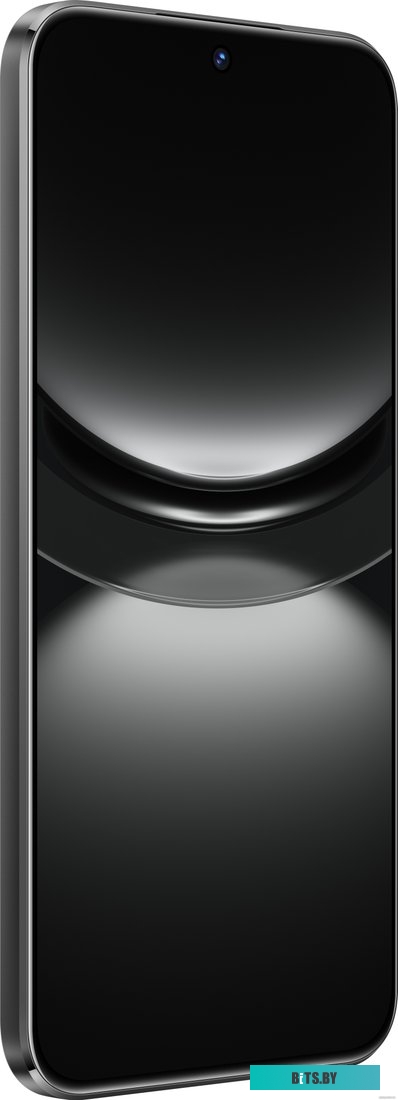 Huawei nova 12s FOA-LX9 8GB/256GB (черный)