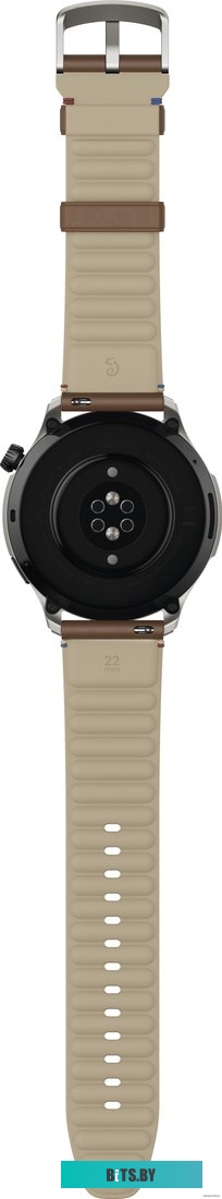 Amazfit GTR 4 (серебристый, с коричневым кожаным ремешком)