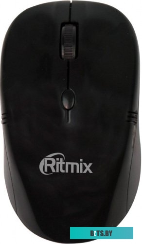 Мышь Ritmix RMW-111
