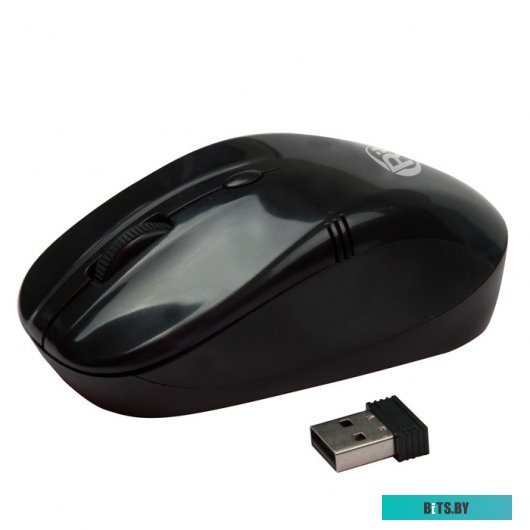 Мышь Ritmix RMW-111