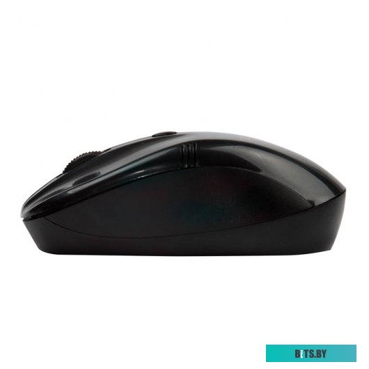 Мышь Ritmix RMW-111