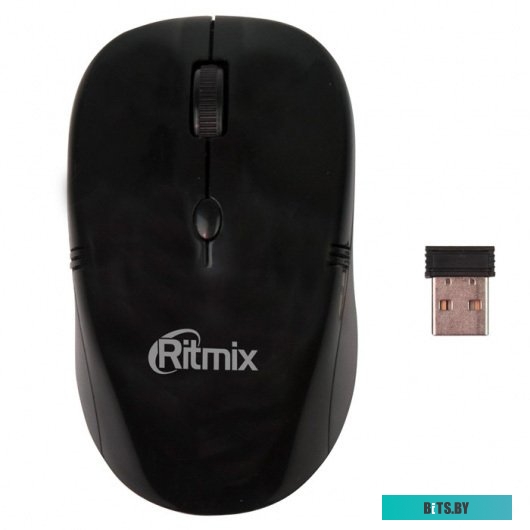 Мышь Ritmix RMW-111