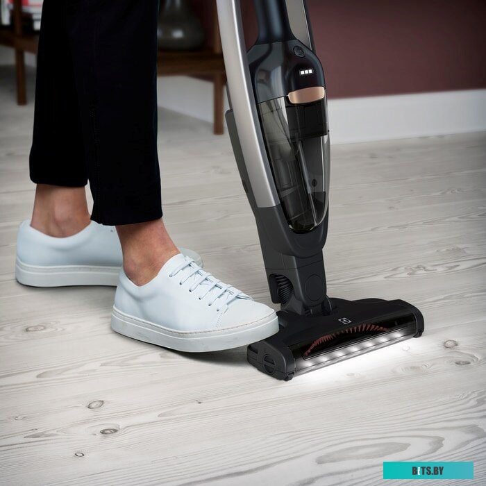 Пылесос Electrolux PQ91-40GG