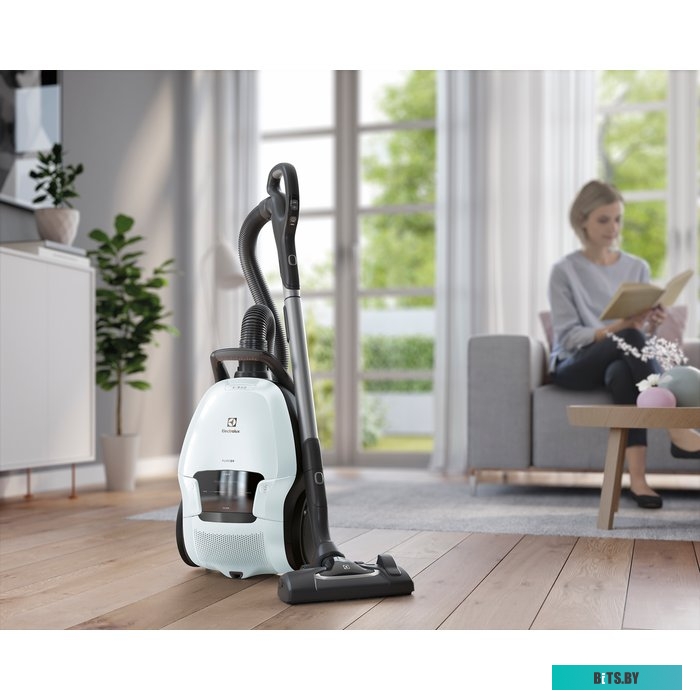 Electrolux Pure D9 PD91-6IWX