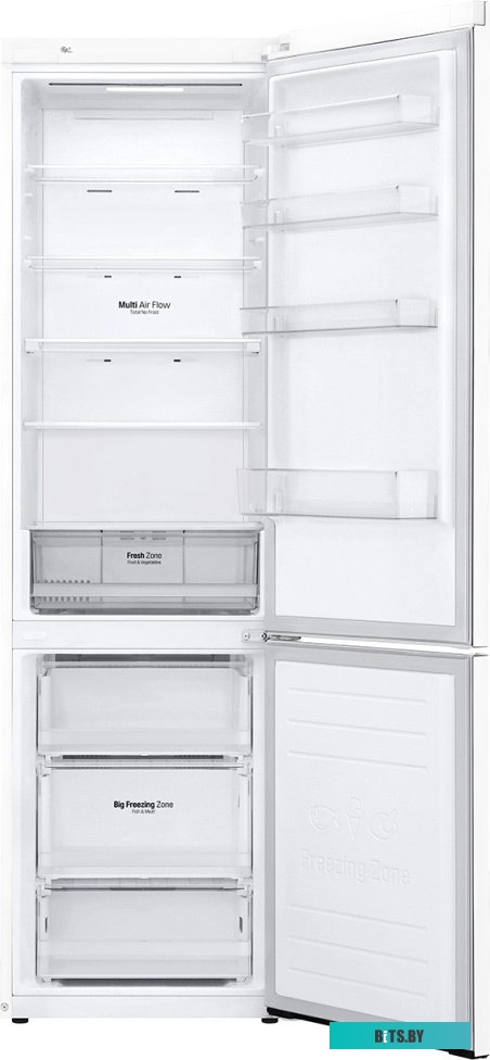 LG DoorCooling+ GA-B509MQSL