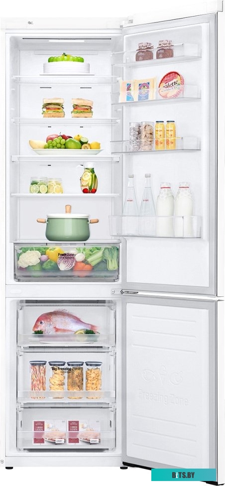 LG DoorCooling+ GA-B509MQSL