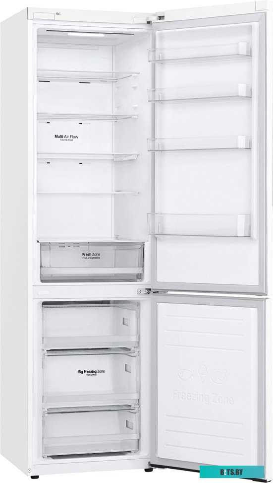 LG DoorCooling+ GA-B509MQSL