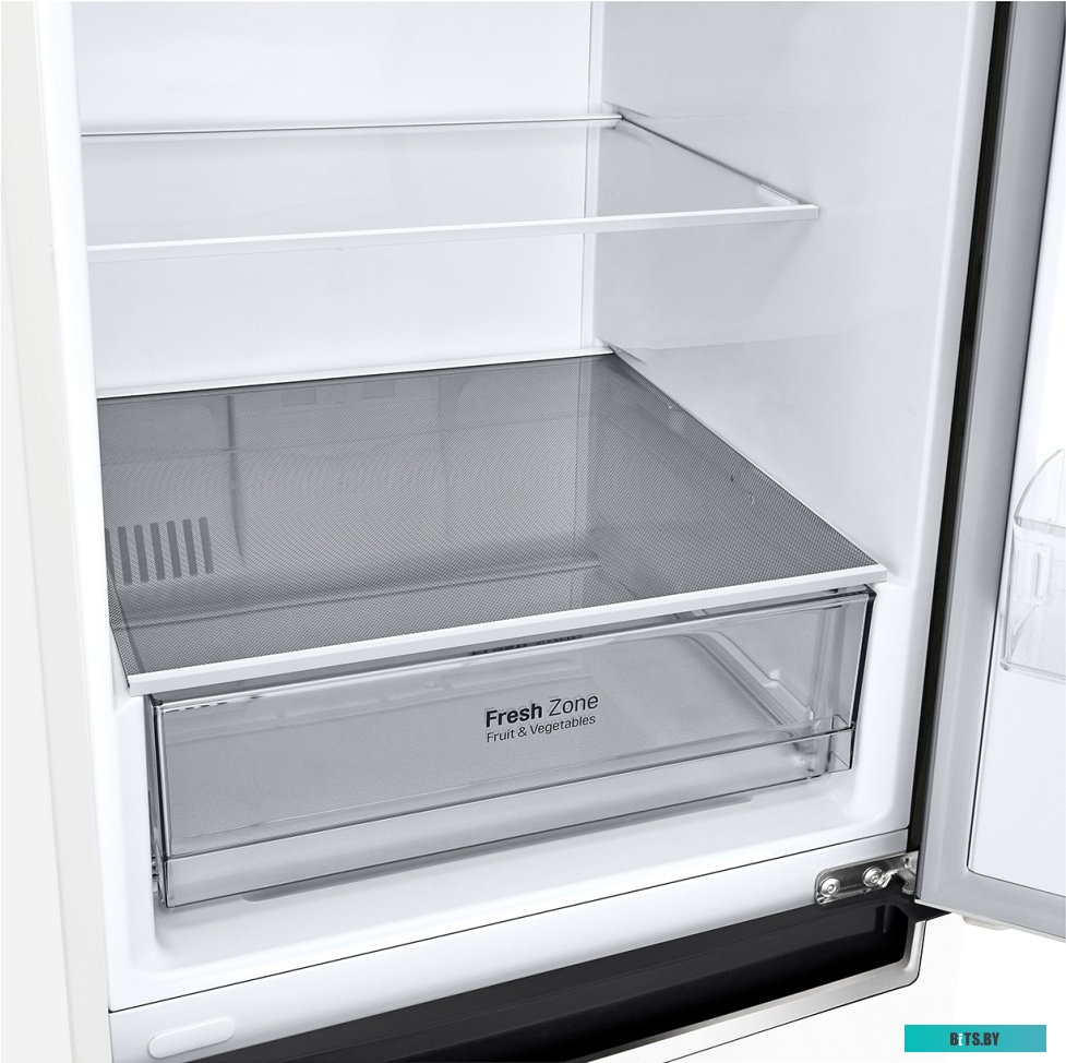 LG DoorCooling+ GA-B509MQSL