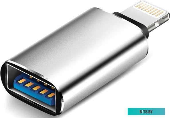 4814863100854 Bingo USB Type-A - Lightning (серебристый)