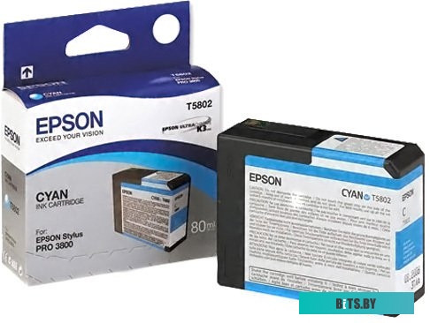 Емкость для отработанных чернил Epson T5820 (Stylus Pro 3800/3880, SC-P800) C13T582000