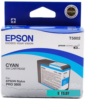 Емкость для отработанных чернил Epson T5820 (Stylus Pro 3800/3880, SC-P800) C13T582000