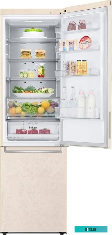 GC-B509SESM LG DoorCooling+ GC-B509SESM