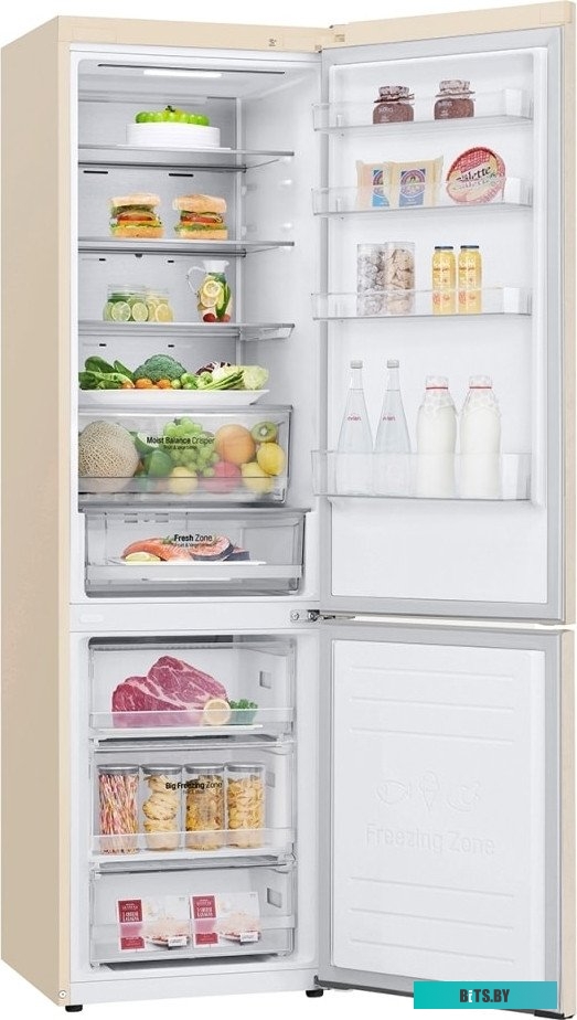 GC-B509SESM LG DoorCooling+ GC-B509SESM