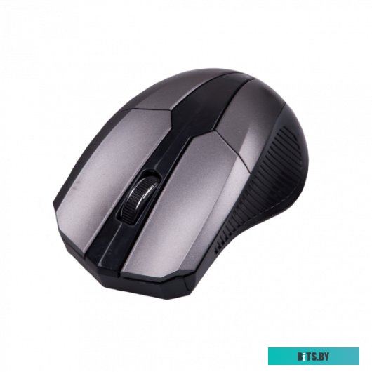Мышь Ritmix RMW-560 (черный/серый) <RMW-560 Black/Gray>